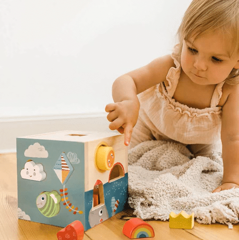Bababoo’s Castle Sorting Cube
